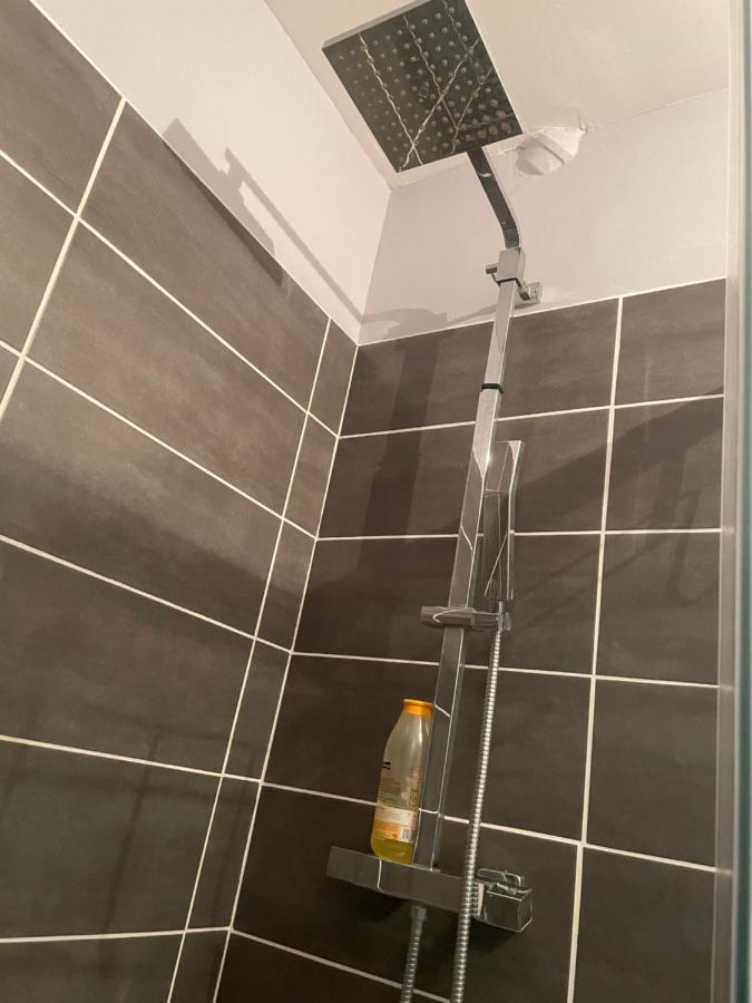 Appartement Rdc Calme En Hyper Centre-Ville ディゴワン エクステリア 写真